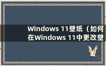 Windows 11壁纸（如何在Windows 11中更改壁纸）